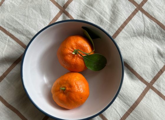 pexels-aisha-89-2154019961-33020130